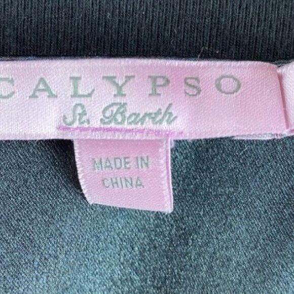 CALYPSO ST BARTH Watercolor 100% Silk SHIFT DRESS Size SMALL 4 6 - Picture 2 of 5